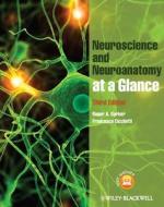 Neuroanatomy And Neuroscience At A Glance 4e di Roger A. Barker, Francesca Cicchetti edito da John Wiley And Sons Ltd