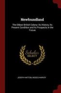 Newfoundland: The Oldest British Colony: Its History, Its Present Condition and Its Prospects in the Future di Joseph Hatton, Moses Harvey edito da CHIZINE PUBN