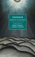 Chevengur di Andrey Platonov edito da NEW YORK REVIEW OF BOOKS