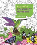 Beautiful Colour by Numbers di Arcturus Publishing edito da Arcturus Publishing Ltd