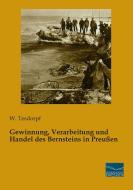 Gewinnung, Verarbeitung und Handel des Bernsteins in Preußen di W. Tesdorpf edito da Fachbuchverlag Dresden