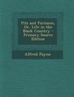 Pits and Furnaces, Or, Life in the Black Country di Alfred Payne edito da Nabu Press