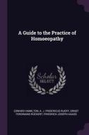 A Guide to the Practice of Homoeopathy di Edward Hamilton, A. J. Fridericus Ruoff, Ernst Ferdinand Ruckert edito da CHIZINE PUBN
