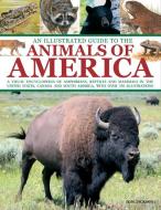 An Illustrated Guide to the Animals of America: A Visual Encyclopedia of Amphibians, Reptiles and Mammals in the United  di Tom Jackson edito da ARMADILLO MUSIC