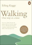 Walking di Erling Kagge edito da Penguin Books Ltd (UK)