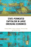 State-permeated Capitalism In Large Emerging Economies di Andreas Noelke, Tobias ten Brink, Christian May, Simone Claar edito da Taylor & Francis Ltd