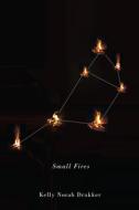 Small Fires di Kelly Norah Drukker edito da McGill-Queen's University Press
