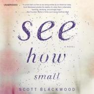 See How Small di Scott Blackwood edito da Hachette Audio