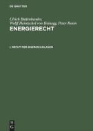 Recht der Energieanlagen di Ulrich Büdenbender, Wolff Heintschel Von Heinegg, Peter Rosin edito da De Gruyter
