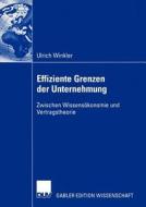 Effiziente Grenzen der Unternehmung di Ulrich Winkler edito da Deutscher Universitätsverlag