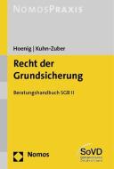 Recht der Grundsicherung di Ragnar Hoenig, Gabriele Kuhn-Zuber edito da Nomos Verlagsges.MBH + Co