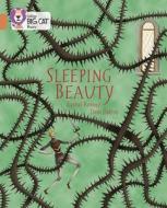Sleeping Beauty di Rachel Rooney edito da HarperCollins Publishers