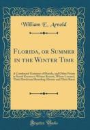 Florida, or Summer in the Winter Time: A Condensed Gazateer of Florida, and Other Points in South Known as Winter Resorts, Where Located, Their Hotels di William E. Arnold edito da Forgotten Books