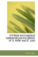 A Critical And Exegetical Commentary On The Epistles Of St. Peter And St. Jude di Charles Bigg edito da Bibliolife