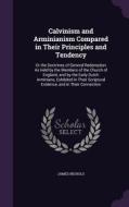 Calvinism And Arminianism Compared In Their Principles And Tendency di James Nichols edito da Palala Press