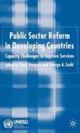 Public Sector Reform in Developing Countries: Capacity Challenges to Improve Services edito da SPRINGER NATURE