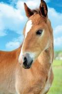Colt Horse September Notebook & Journal. Productivity Work Planner & Idea Notepad di Equine Life edito da Global Pet Care International