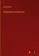 Schopenhauer und Nietzsche di Georg Simmel edito da Outlook Verlag