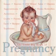 The Little Big Book of Pregnancy di Alice Wong edito da WELCOME BOOKS