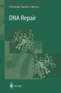 DNA Repair edito da Springer Berlin Heidelberg