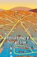 A Political Ecology of Youth and Crime di Alan France, Dorothy Bottrell, D. Armstrong edito da Palgrave Macmillan