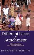 Different Faces of Attachment edito da Cambridge University Press