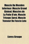 Muscle Du Membre Inferieur: Muscle Grand GlutÃ¯Â¿Â½al, Muscles De La Patte D'oie, Muscle Triceps Sural, Muscle Tenseur Du Fascia Lata edito da Books Llc