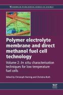 Polymer Electrolyte Membrane and Direct Methanol Fuel Cell Technology: Volume 2: In Situ Characterization Techniques for edito da WOODHEAD PUB