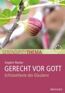Gerecht vor Gott di Siegbert Riecker edito da Brunnen-Verlag GmbH