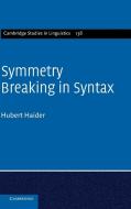 Symmetry Breaking in Syntax di Hubert Haider edito da Cambridge University Press