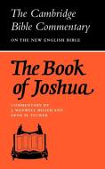 The Book of Joshua di J. Maxwell Miller, Gene M. Tucker edito da Cambridge University Press