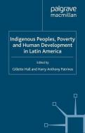 Indigenous Peoples, Poverty and Human Development in Latin America di Gillette Hall edito da Palgrave Macmillan UK