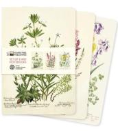 Royal Botanic Garden Edinburgh Set Of 3 MIDI Notebooks edito da Flame Tree Publishing