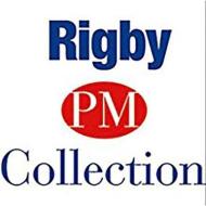 Rigby PM Collection: Teacher's Guide Nonfiction Purple (Levels 19-20) 1999 di Various edito da Rigby
