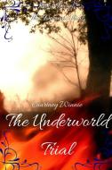 The Underworld Trial di Courtney Winnie edito da Lulu.com