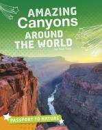 Amazing Canyons Around the World di Gail Terp edito da CAPSTONE PR