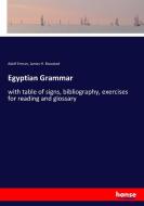 Egyptian Grammar di Adolf Erman, James H. Breasted edito da hansebooks