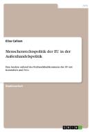 Menschenrechtspolitik der EU in der Außenhandelspolitik di Elisa Callsen edito da GRIN Publishing