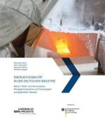 Energieflexibilität in der deutschen Industrie. edito da Fraunhofer Verlag