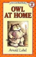 Owl at Home di Arnold Lobel edito da TURTLEBACK BOOKS