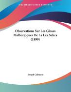 Observations Sur Les Gloses Malbergiques de La Lex Salica (1899) di Joseph Calmette edito da Kessinger Publishing