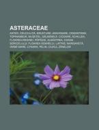 Asteraceae: Aster, Cruciuli A, Brusture, di Surs Wikipedia edito da Books LLC, Wiki Series