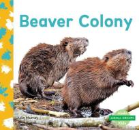 Beaver Colony di Julie Murray edito da ABDO KIDS