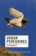 Urban Peregrines di Ed Drewitt edito da Pelagic Publishing
