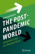 The Post-Pandemic World di John Erik Meyer edito da Springer Nature Switzerland AG
