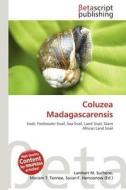 Coluzea Madagascarensis edito da Betascript Publishing