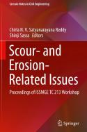Scour and Erosion Related Issues: Proceedings of Issmge Tc 213 Workshop edito da SPRINGER NATURE
