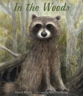 In the Woods di David Elliott edito da CANDLEWICK BOOKS