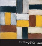 Wall Of Light di #Auping,  Michael Phillips,  Stephen Bennett Straus,  Anne L. edito da Rizzoli International Publications