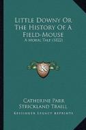 Little Downy or the History of a Field-Mouse: A Moral Tale (1822) a Moral Tale (1822) di Catherine Parr Strickland Traill edito da Kessinger Publishing